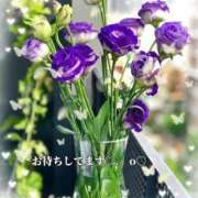 ヒメ日記 2025/07/30 12:00 投稿 りおな 人妻花かんざし