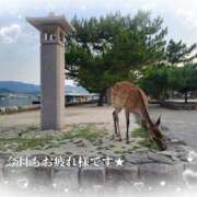 ヒメ日記 2025/08/19 20:46 投稿 りおな 人妻花かんざし