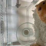 ヒメ日記 2025/08/02 09:34 投稿 ゆか 日本橋熟女咲裸（さくら）