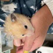 ヒメ日記 2025/08/23 09:21 投稿 ゆか 日本橋熟女咲裸（さくら）