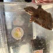 ヒメ日記 2025/09/16 09:35 投稿 ゆか 日本橋熟女咲裸（さくら）