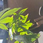 ヒメ日記 2025/10/19 08:53 投稿 ゆか 日本橋熟女咲裸（さくら）