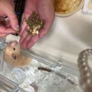 ヒメ日記 2025/10/31 08:55 投稿 ゆか 日本橋熟女咲裸（さくら）