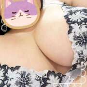 ヒメ日記 2025/07/04 14:21 投稿 けいと 成田富里インターちゃんこ