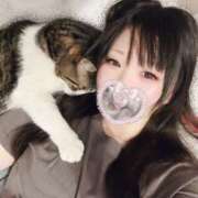 しのん ギリギリセーフ えちちSPA-えっちな回春性感マッサージ-五反田店