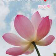 ヒメ日記 2025/07/09 22:30 投稿 てんま あげまん 西中島店