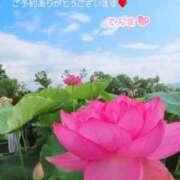 ヒメ日記 2025/07/14 14:19 投稿 てんま あげまん 西中島店