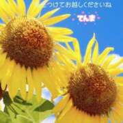 ヒメ日記 2025/07/28 14:51 投稿 てんま あげまん 西中島店