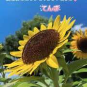 ヒメ日記 2025/08/03 07:41 投稿 てんま あげまん 西中島店