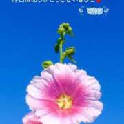 ヒメ日記 2025/08/08 07:27 投稿 てんま あげまん 西中島店