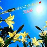 ヒメ日記 2025/08/14 12:26 投稿 てんま あげまん 西中島店