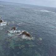 ヒメ日記 2026/02/19 16:21 投稿 浜田あや アラフォーna奥様 アラフィフna奥様（埼玉ハレ系）