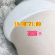 ヒメ日記 2025/07/22 12:45 投稿 花菜 モアグループ南越谷人妻花壇