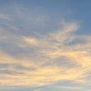 ヒメ日記 2025/07/29 20:21 投稿 花菜 モアグループ南越谷人妻花壇