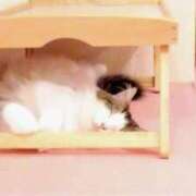 ヒメ日記 2025/10/21 10:16 投稿 リサ 人妻生レンタル-石巻-