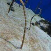 ヒメ日記 2025/10/28 17:56 投稿 リサ 人妻生レンタル-石巻-