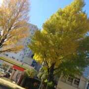 ヒメ日記 2025/11/18 12:36 投稿 リサ 人妻生レンタル-石巻-