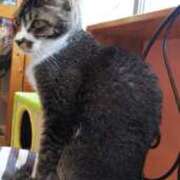 ヒメ日記 2025/11/19 19:16 投稿 リサ 人妻生レンタル-石巻-