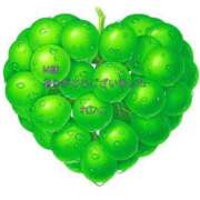 ヒメ日記 2025/08/06 00:30 投稿 れいこ 即トク奥さん