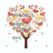 ヒメ日記 2025/10/28 22:40 投稿 れいこ 即トク奥さん