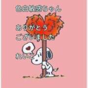 ヒメ日記 2025/11/08 22:50 投稿 れいこ 即トク奥さん