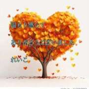 ヒメ日記 2025/11/19 23:23 投稿 れいこ 即トク奥さん