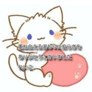 ヒメ日記 2025/12/10 00:30 投稿 れいこ 即トク奥さん