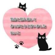 ヒメ日記 2025/12/10 00:40 投稿 れいこ 即トク奥さん