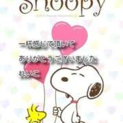 ヒメ日記 2025/12/20 23:20 投稿 れいこ 即トク奥さん