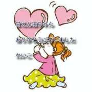 ヒメ日記 2026/02/28 18:40 投稿 れいこ 即トク奥さん