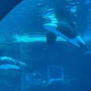 ヒメ日記 2025/07/21 11:20 投稿 うみ リアル難波店