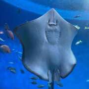 ヒメ日記 2025/07/22 14:25 投稿 うみ リアル難波店