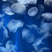 ヒメ日記 2025/07/26 12:21 投稿 うみ リアル難波店