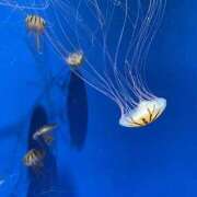 ヒメ日記 2025/08/27 11:20 投稿 うみ リアル難波店