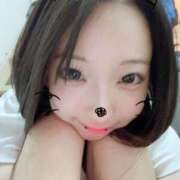 ヒメ日記 2025/08/12 18:18 投稿 せりあ 京都BOOK MARK（ブックマーク）