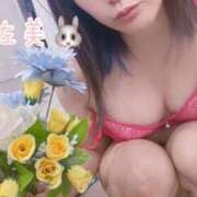 ヒメ日記 2025/07/01 14:24 投稿 宇佐美 モアグループ大宮人妻花壇