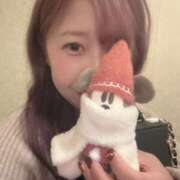 ヒメ日記 2025/11/12 10:36 投稿 りな シェリーエンジェル