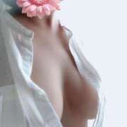 ヒメ日記 2025/07/23 08:17 投稿 ゆきの consolation