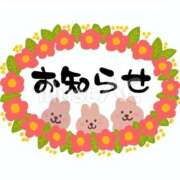 ヒメ日記 2025/11/25 10:19 投稿 ゆきの consolation