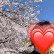 ヒメ日記 2026/04/09 17:03 投稿 ゆきの consolation