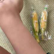 ヒメ日記 2026/06/23 09:13 投稿 ゆきの consolation