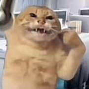 ヒメ日記 2025/12/26 01:37 投稿 かりな New Sky