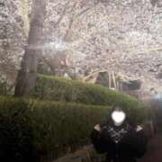 ヒメ日記 2026/04/04 11:45 投稿 にな ふわメロ