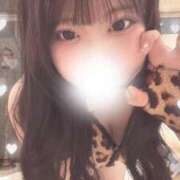 ヒメ日記 2026/07/29 09:15 投稿 にな ふわメロ