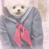 もも 櫻女学院（町田/デリヘル）