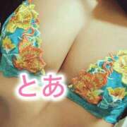 ヒメ日記 2025/10/18 08:47 投稿 とあ 横浜ハッピーマットパラダイス