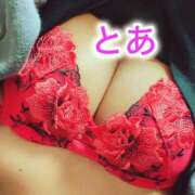 ヒメ日記 2025/12/15 08:57 投稿 とあ 横浜ハッピーマットパラダイス