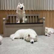 ヒメ日記 2025/09/03 22:44 投稿 Nina THE MUSE