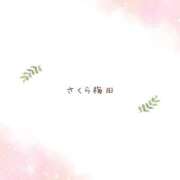 しの しの（clubさくら梅田店） clubさくら梅田店