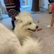 ヒメ日記 2025/07/09 15:11 投稿 ちか 渋谷 風俗 いきなりビンビン伝説